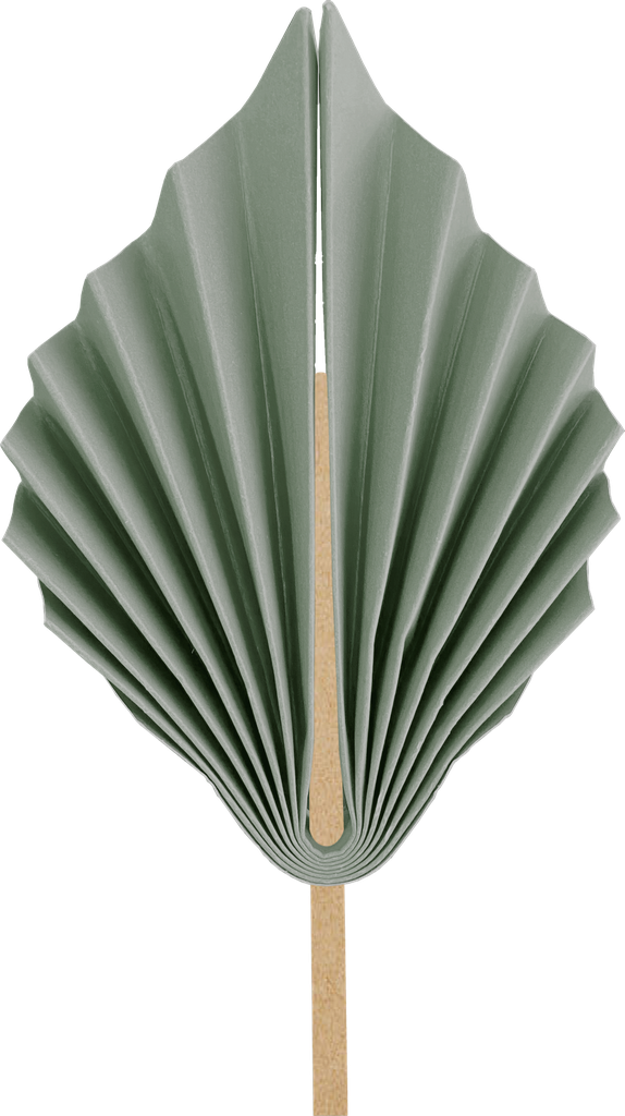 Paper Palm Leaf 15cm Eucalyptus 2pk #5219EUP