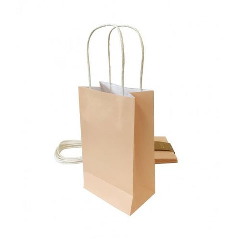 Paper Party Bag 215x130x80mm PASTEL PEACH Pk5 #465844