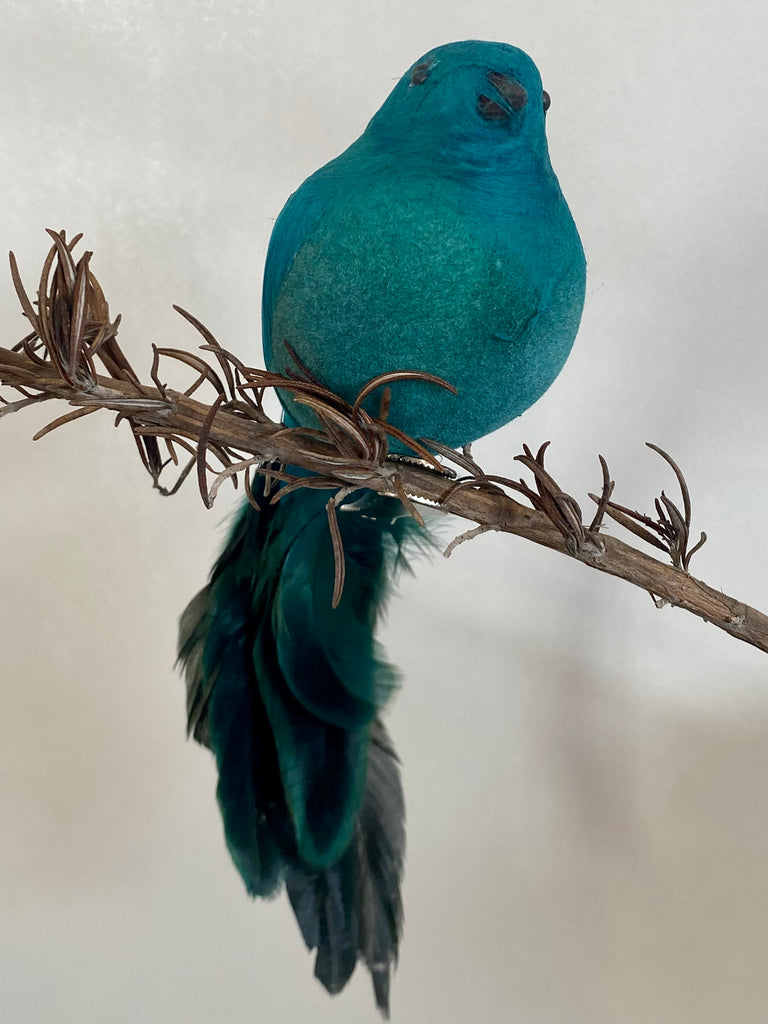 Bird Fat Robin w Clip Peacock Blue #AAFBP