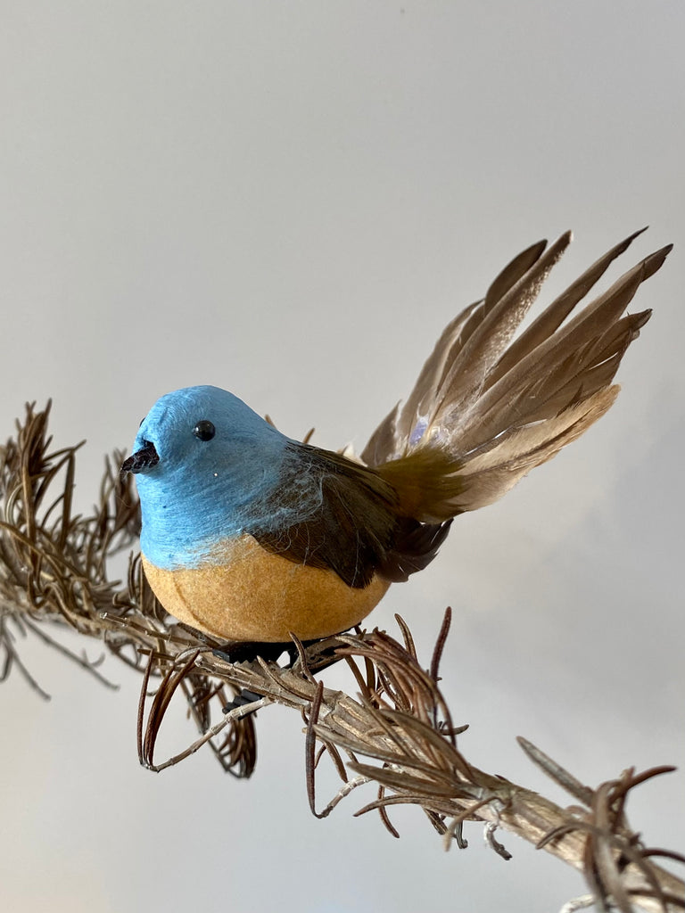 Bird Feather Fantail w Clip #AAFNI