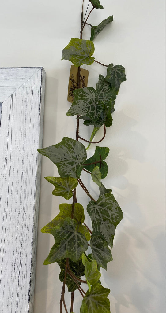 1.84m long Variegated Ivy #AAIVGV -Each