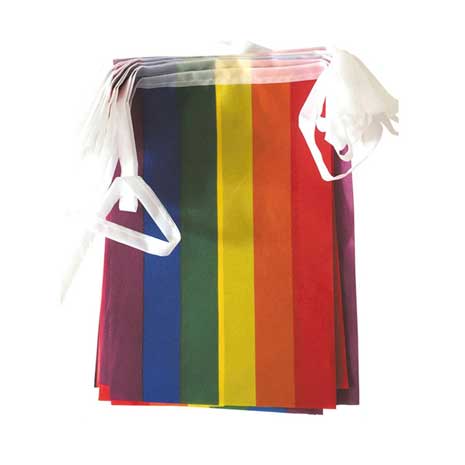 6m All Weather FABRIC Flag Bunting RAINBOW #TFS7547