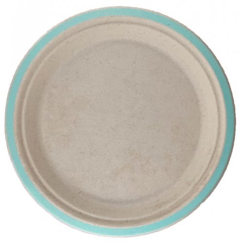 Sugar Cane Plate 180mm MINT GREEN 10Pk #AP400115